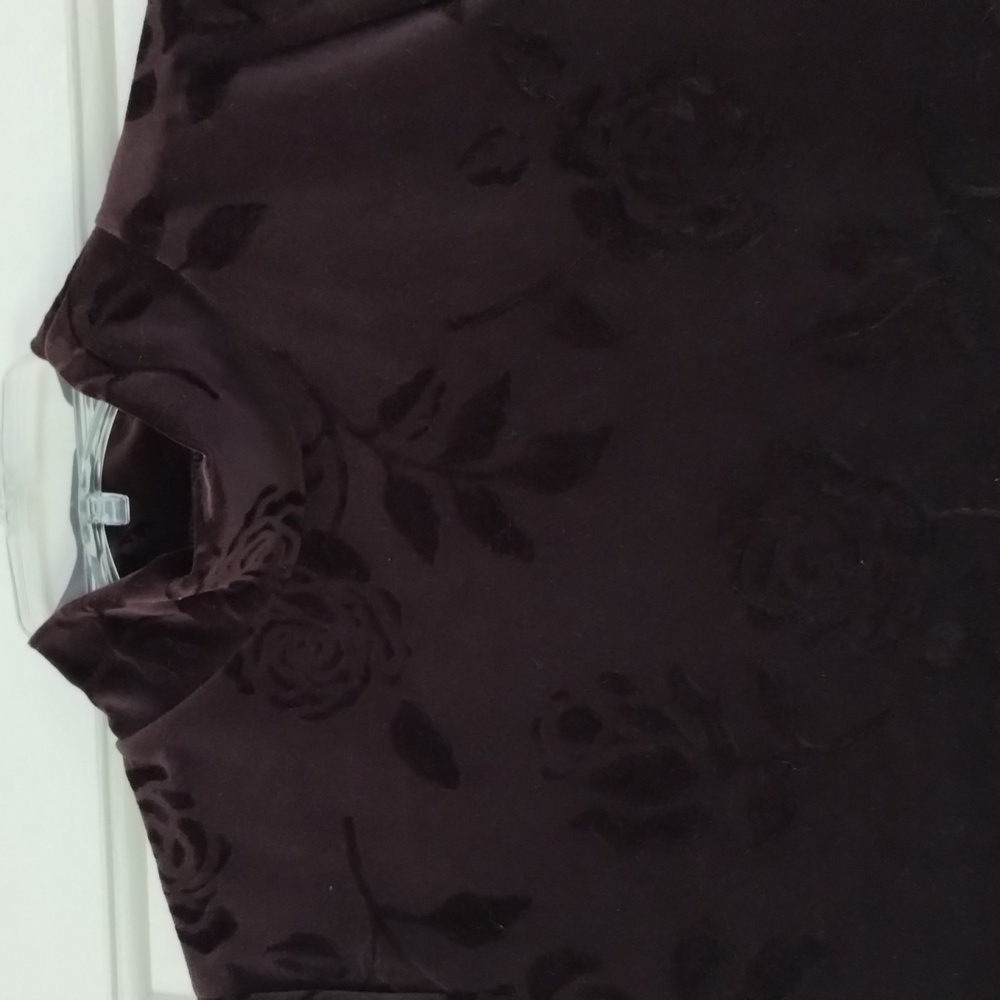 NWT pretty rich brown velour dress